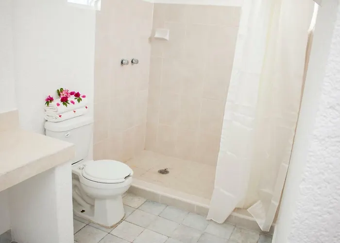 Lupita Apartamento Zihuatanejo