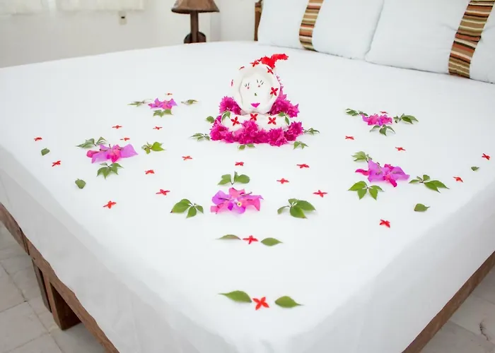 Apartamento Lupita Zihuatanejo